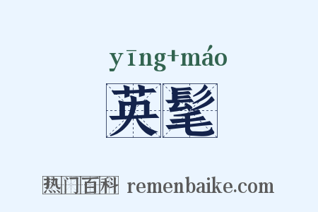英髦是什么意思的图片